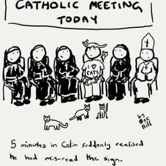 🌸WELCOME🌸 - Picture 15 of 16